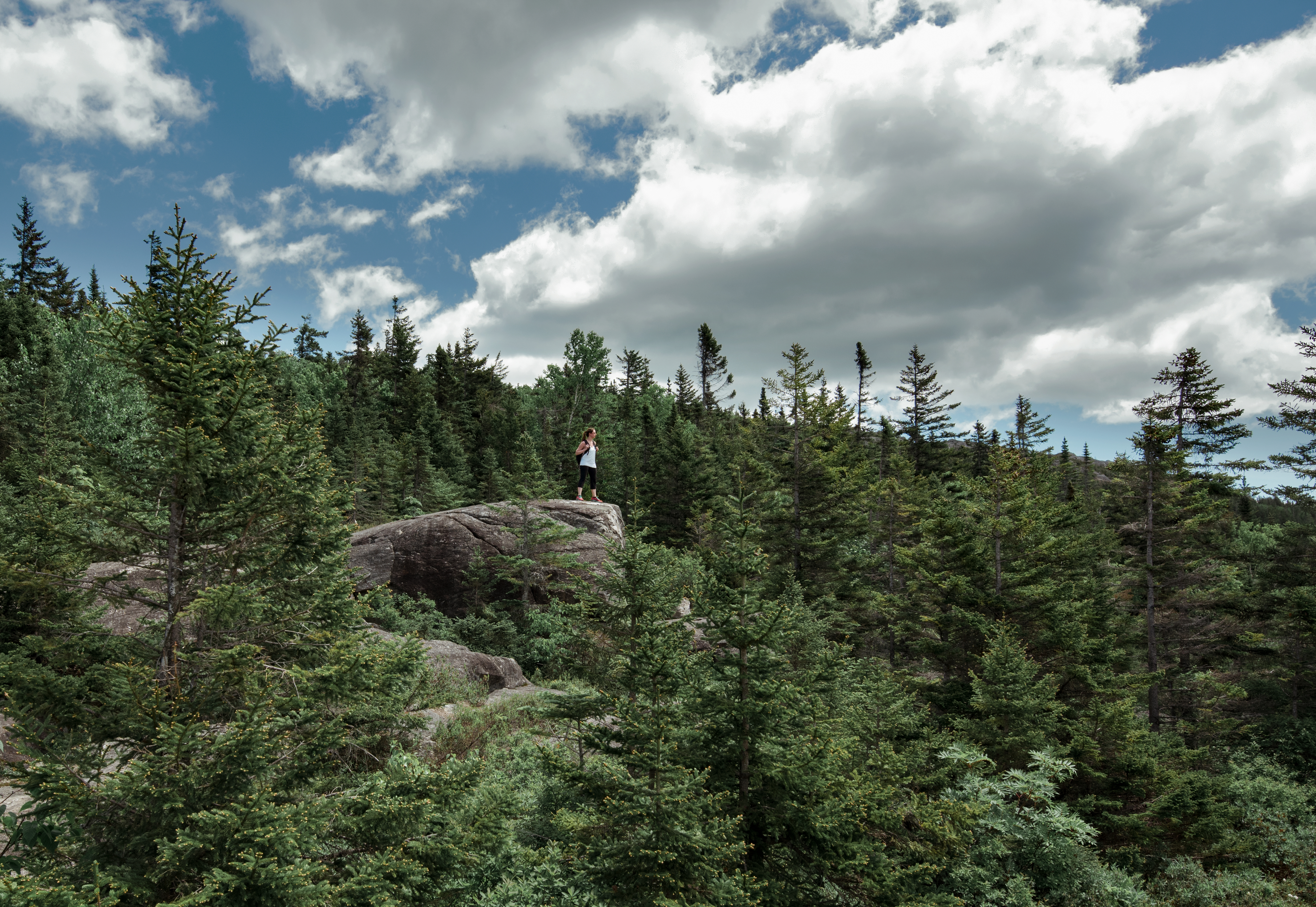 Southeast Landscapes